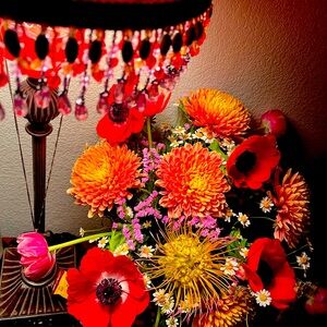 Meet your Posher, Rae!